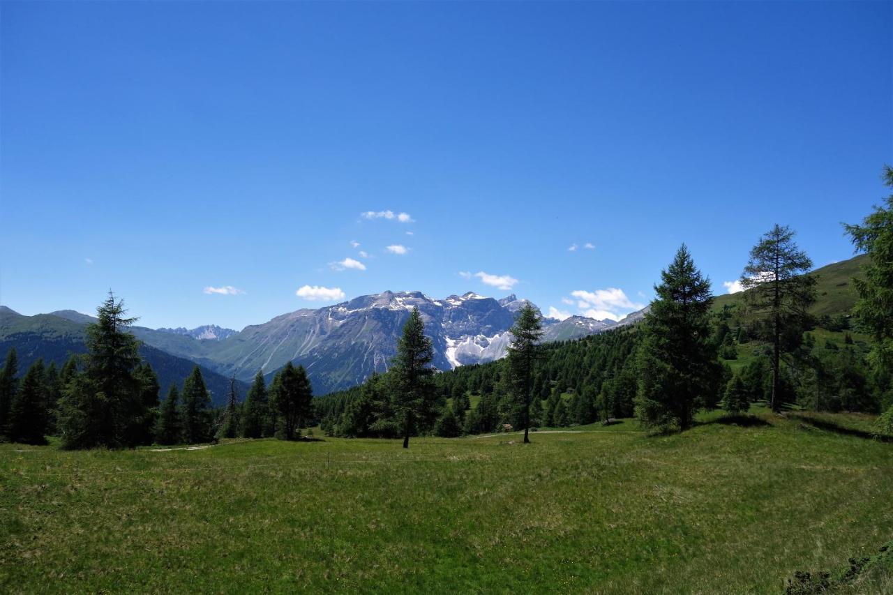 Alpen Gasthof Apartments Hohe Burg Trins Zewnętrze zdjęcie