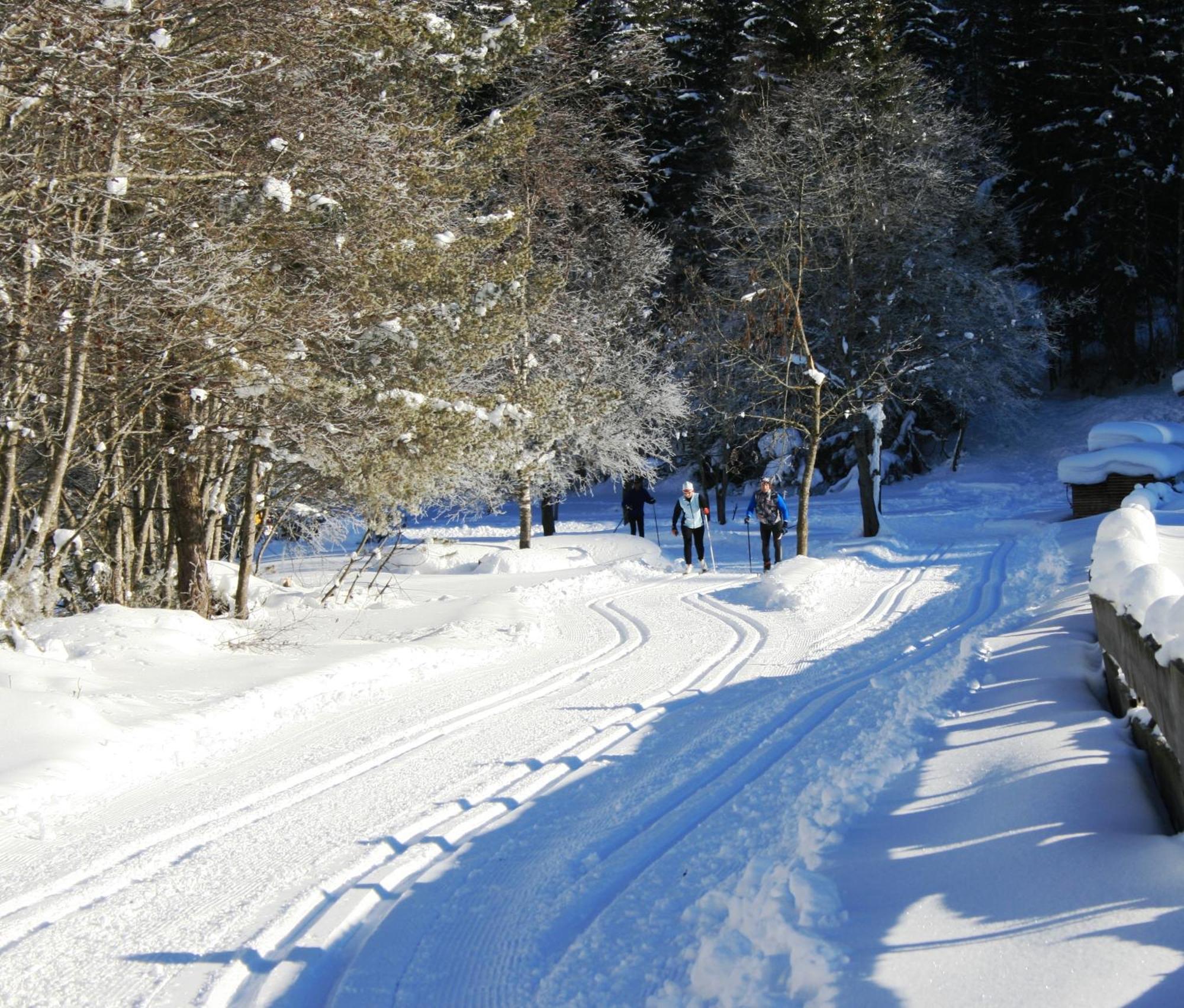 Alpen Gasthof Apartments Hohe Burg Trins Zewnętrze zdjęcie