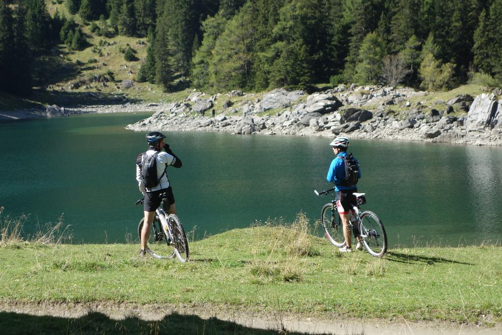 Alpen Gasthof Apartments Hohe Burg Trins Zewnętrze zdjęcie