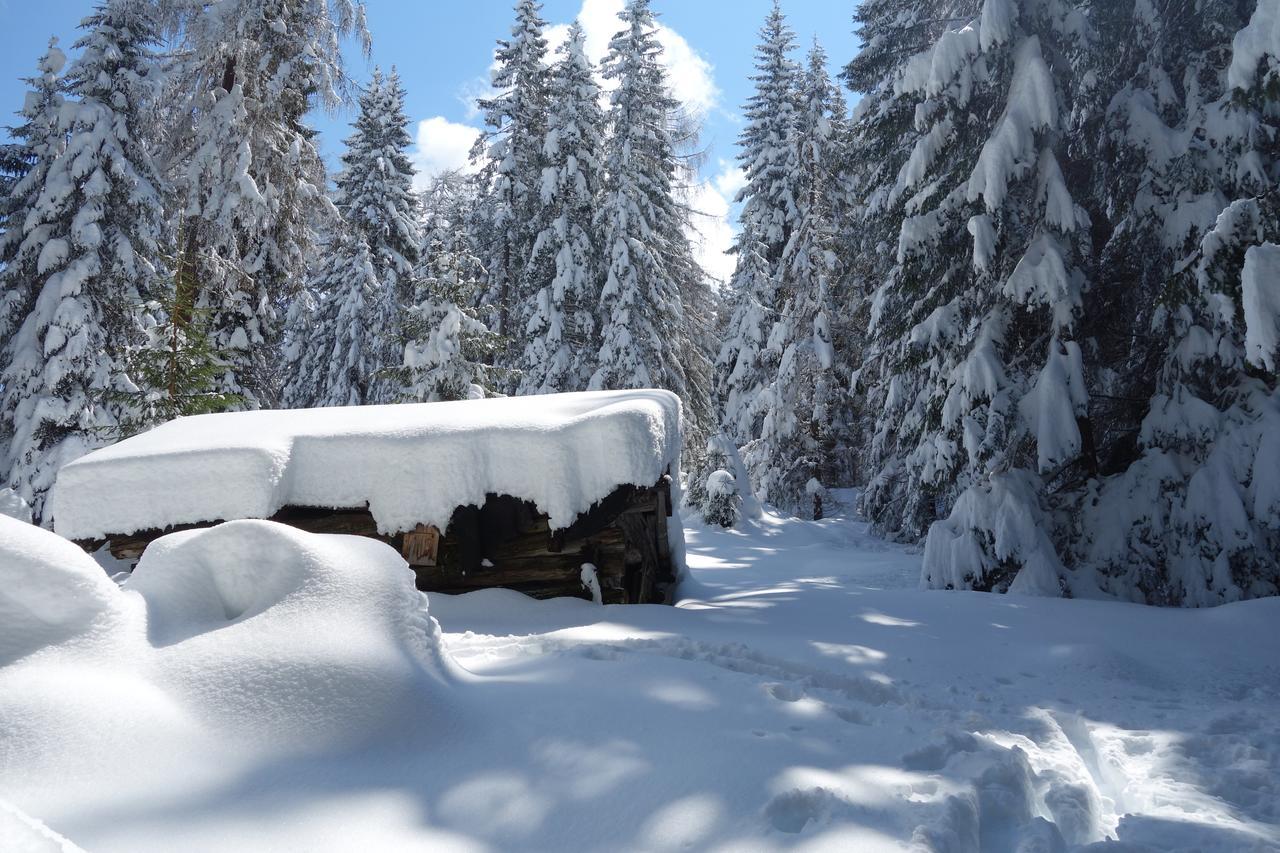 Alpen Gasthof Apartments Hohe Burg Trins Zewnętrze zdjęcie